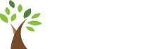 #백년트랩